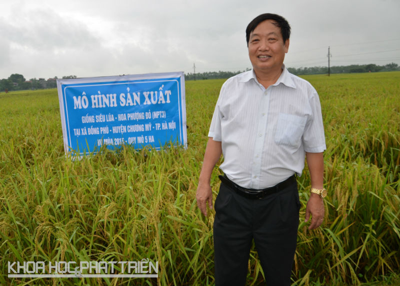 GS.TS Trần Duy Quý giới thiệu giống lúa NPT3 được chọn tạo bằng kỹ thuật bức xạ hạt nhân.