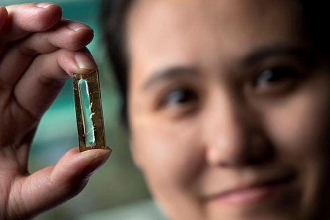Cô gái gốc Việt Mya Le Thai vừa tạo ra sự đột phát trong công nghệ sản xuất pin
