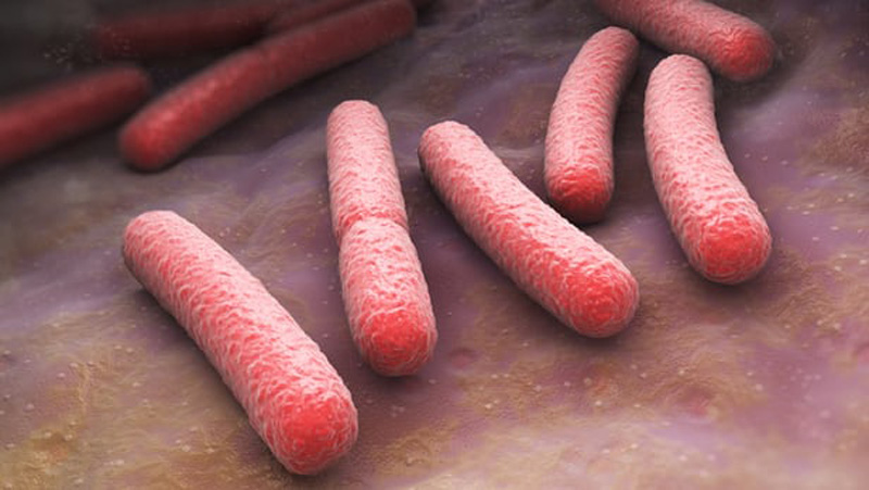Thiết bị được báo cáo có khả năng phát hiện khuẩn E. coli trong thời gian tính bằng phút