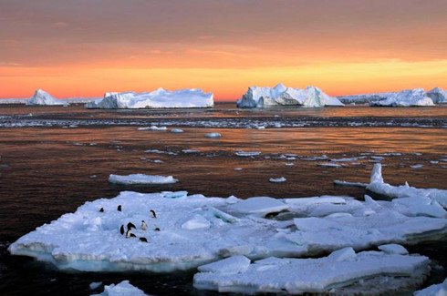 Công viên Ross Sea sẽ chiếm đến hơn 12% diện tích của Nam Cực. (ảnh: Reuters).