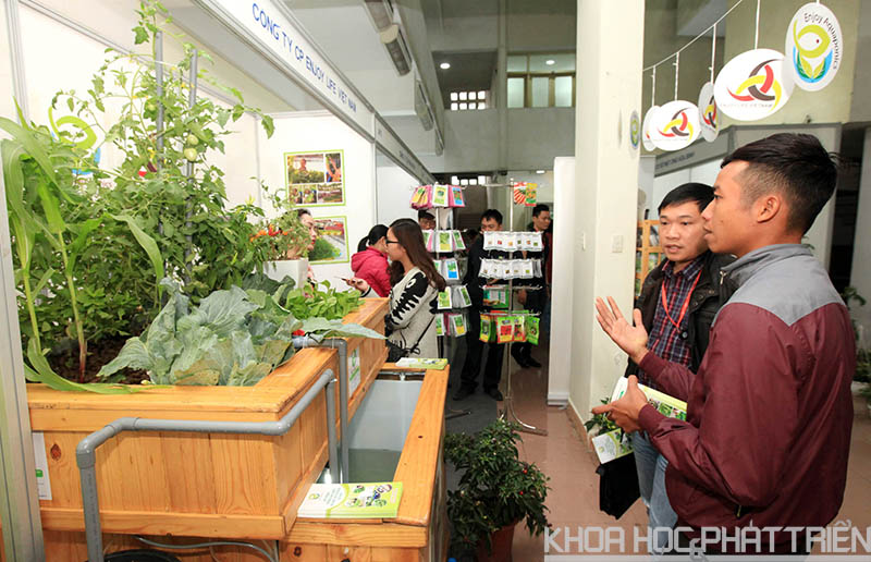 Gian hàng trưng bày giới thiệu sản phẩm của Công ty CP Enjoy Life Việt Nam. Ảnh: Anh Tuấn.