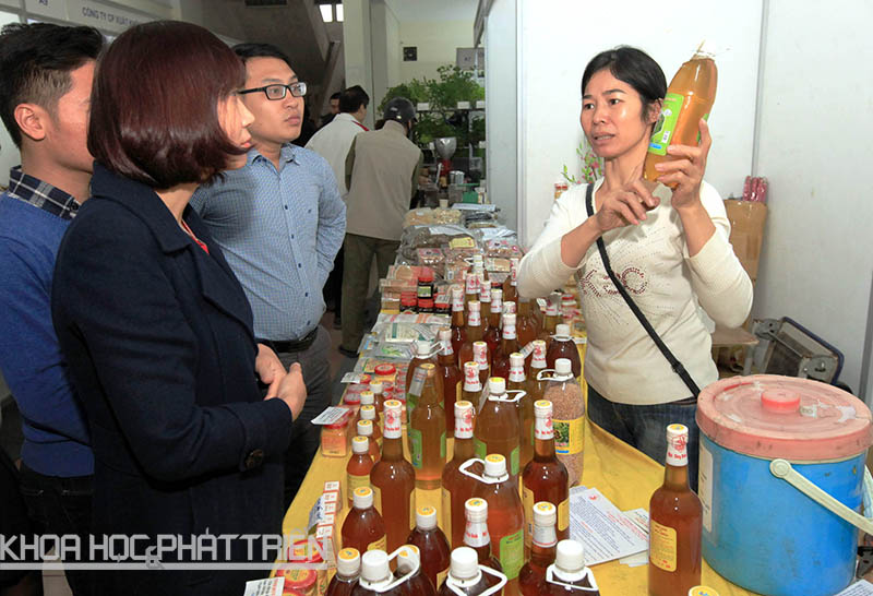Nhiều khách hàng quan tâm đến sản phẩm mật ong tại gian hàng của Sở KH&CN Hòa Bình. Ảnh: Anh Tuấn.