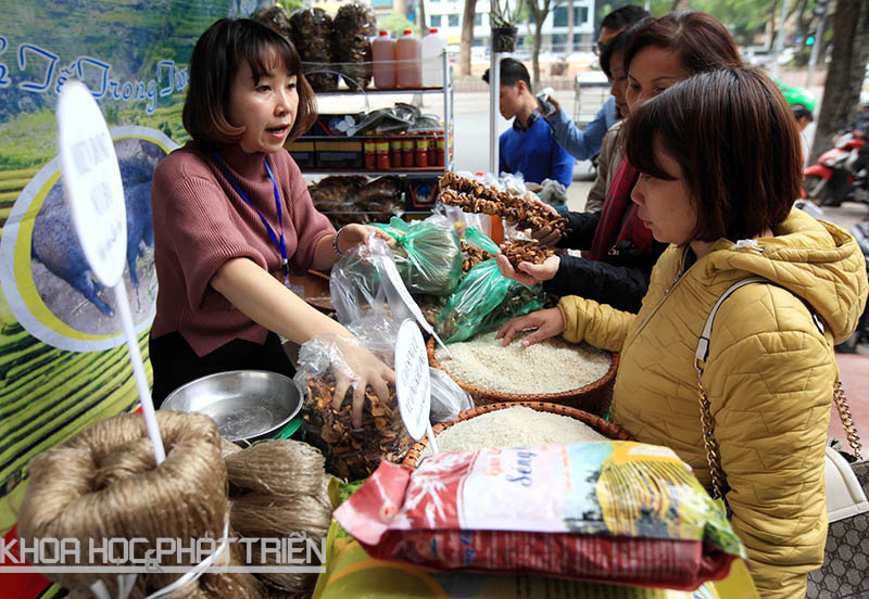 Các đặc sản của Lào Cai cũng được giới thiệu tại hội chợ. Ảnh: Anh Tuấn.