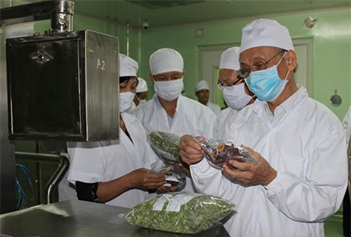 Hệ thống sấy bơm nhiệt và vi sóng đã được thử nghiệm trên các sản phẩm của mộtcông ty ở Thái Bình và được đánh giá cao với ưu điểm bảo tồn được các vitamin, hợp chất hữu có ích của sản phẩm tươi.Ảnh: Lê Hoàn.