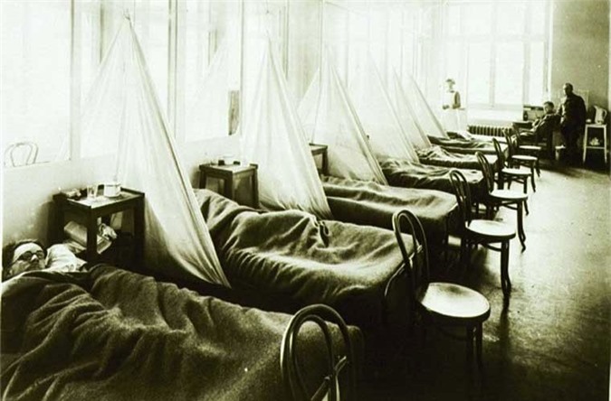 20-40 triệu người ở châu Á, châu Âu và Bắc Mỹ đã chết trong trận đại dịch cúm bắt đầu hồi tháng 3/1918.