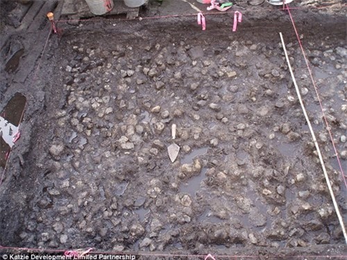 Khai quật... vườn khoai tây 3.800 năm tuổi ảnh 2