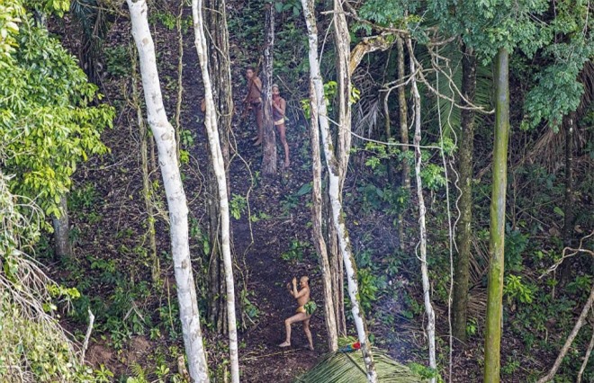 Bộ lạc sống nguyên thủy ở rừng Amazon mới được phát hiện