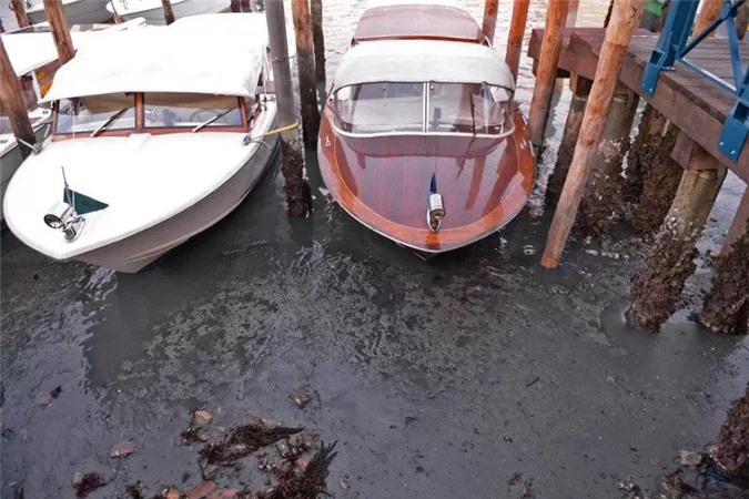 Năm nay mực nước ở Venice thấp hơn 70cm so với mức trung bình.