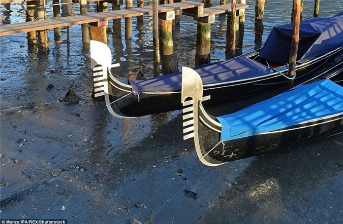 Hiện tượng này gây ngạc nhiên vì ngập lụt là chuyện thường thấy ở Venice hơn là thủy triều rút thấp.