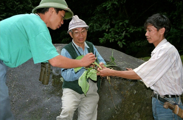 Giáo sư Võ Quý và cộng sự đang nghiên cứu các loài thực vật trong Vườn quốc gia Vũ Quang, Hà Tĩnh.
