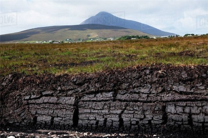 Các đầm lầy than bùn vẫn được khai thác như một nguồn nhiên liệu đốt khá phổ biến trên thế giới.