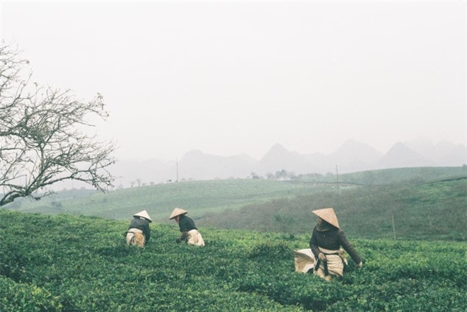 10 ảnh Việt Nam đẹp nhất tuần qua