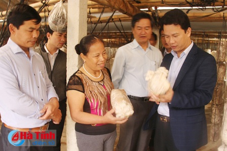 Chủ tịch UBND tỉnh Hà Tĩnh Đặng Quốc Khánh kiểm tra tình hình sản xuất nấm. Ảnh: Báo Hà Tĩnh điện tử