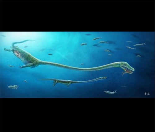 Tìm ra hóa thạch quái vật biển sống trước khủng long - 1