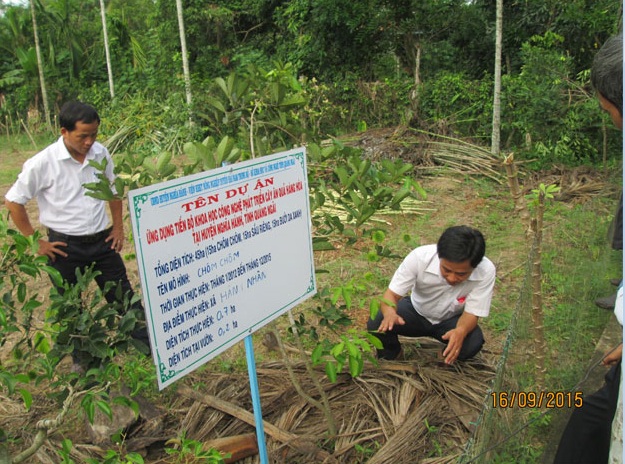 Cán bộ dự án kiểm tra mô hình trồng cây chôm chôm ở xã Hành Nhân.