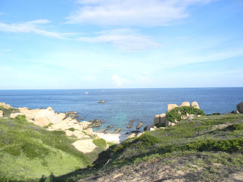 Hòn Cau là một trong 16 Khu bảo tồn với hệ sinh thái biển đa dạng bậc nhất Việt Nam