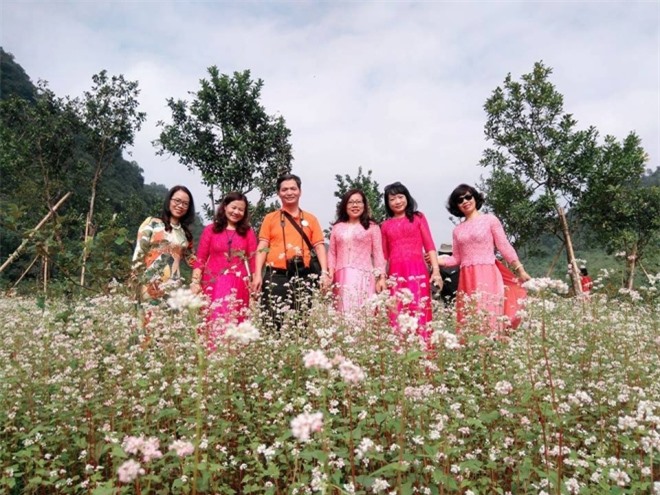Vườn hoa tam giác mạch đầu tiên ở Ninh Bình