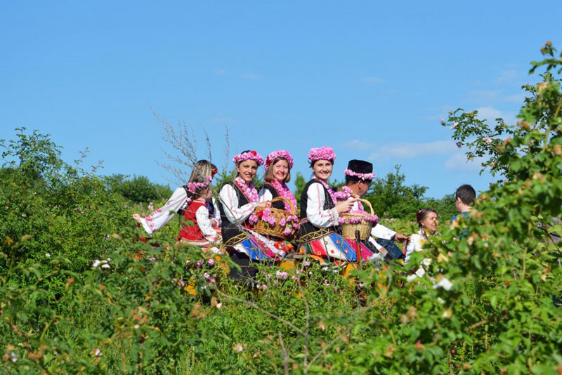 Thung lũng Hoa Hồng nằm trong phần phía Đông của thung lũng Kazanluk, có diện tích xấp xỉ 780 km2, bao gồm các cánh đồng hoa của Karlovo, Kazanlak và một phần của Nova Zagora.