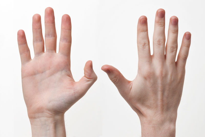 Màu sắc lòng bàn tay cũng thể hiện sức khỏe của cơ thể.