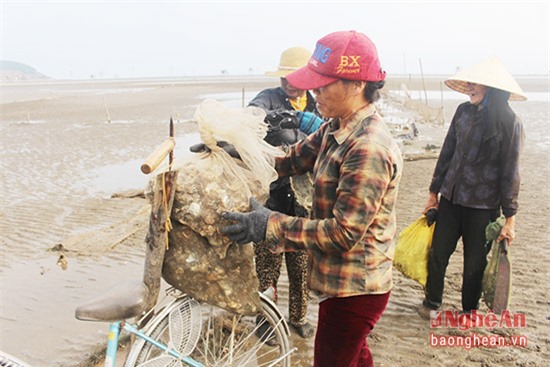 Chị Phạm Thị Thắng thu được thành quả với 7 kg hàu, thu nhập hơn 600 nghìn đồng/4 tiếng nhặt tìm. Ảnh Việt Hùng