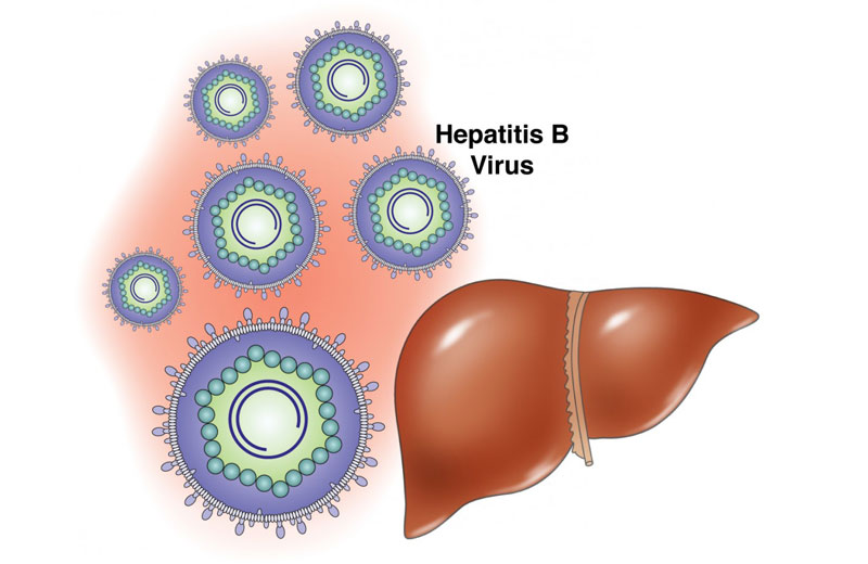 Virus viêm gan B là thủ phạm gây ra viêm gan B.