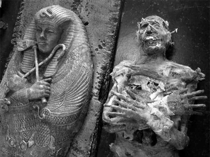 Nhiều xác ướp của người Ai Cập được khai quật một cách tình cờ. 