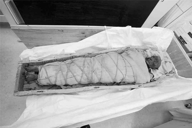 Những người thợ ướp xác Ai Cập sử dụng khá nhiều vải lanh để bọc xác ướp. 