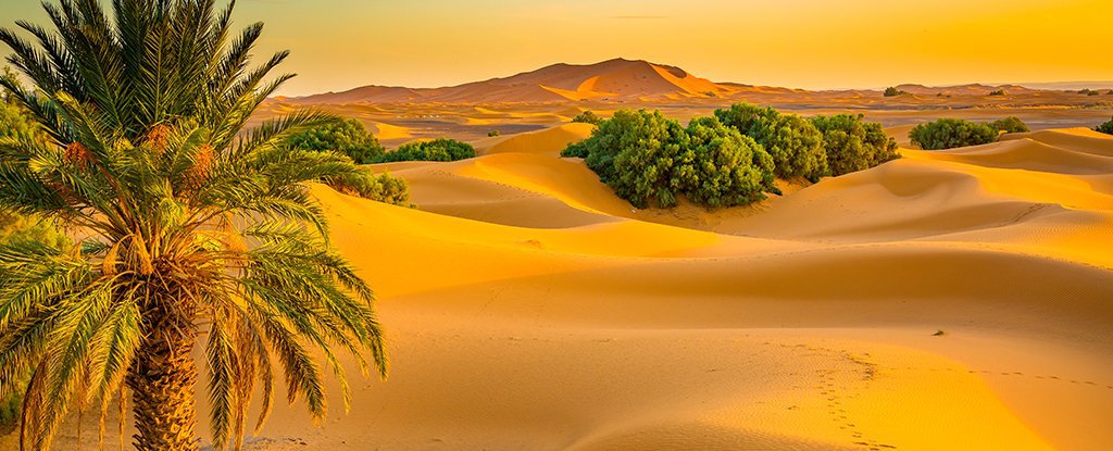 Trước đây Sahara là một vùng đất xanh tốt với nhiều ao hồ.