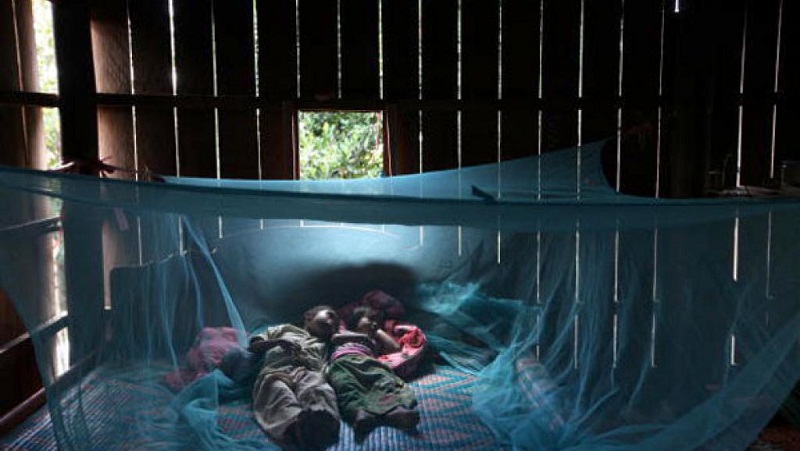 Ngủ mùng là biện pháp phòng chống sốt rét hiệu quả.