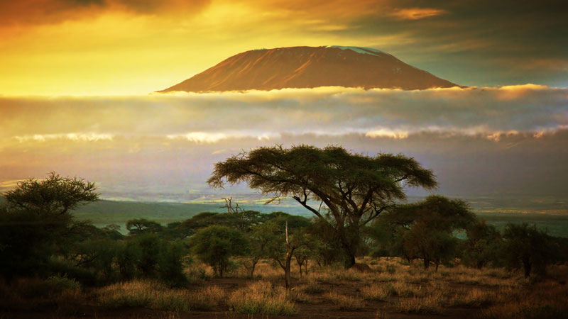 Diện tích băng của Kilimanjaro đang mỏng dần và thu hẹp. Với tốc độ hiện tại, Kilimanjaro được dự đoán sẽ không còn băng vào khoảng năm 2022-2033.
