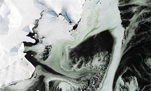 Băng ở Nam Cực chuyển thành màu xanh lục khó hiểu - 1