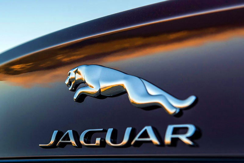 =6. Jaguar (864 điểm).