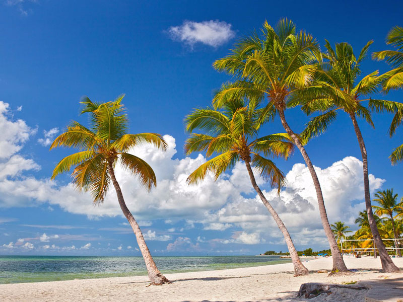 10. Key West. Là thành phố thuộc quận Monroe, Florida, Mỹ. Qua nhiều năm tháng, nơi đây từng là nơi trú ẩn của hải tặc, căn cứ hải quân và địa điểm yêu thích của những huyền thoại văn học Mỹ, trong đó có Ernest Hemingway. Ngày nay, hòn đảo dường như trở thành điểm du lịch cố định, với rất nhiều quán bar, nhà hàng và bãi biển, nơi du khách có thể tiêu tốn khá nhiều thời gian.