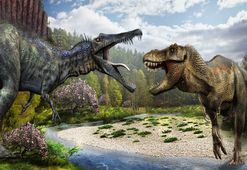 Cuộc đối đầu giữa Spinosaurus và khủng long bạo chúa.