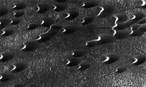 Những đụn cát trên bề mặt sao Hỏa. Ảnh: NASA