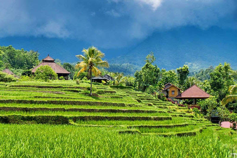 7. Ubud. Thị trấn trên đảo Bali ở Indonesia, thuộc quận Ubud, Indonesia. Ubud nằm giữa những cánh đồng lúa và khe núi dốc đứng ở chân đồi trung tâm của huyện Gianyar. Đây được xem là trung tâm nghệ thuật và văn hóa chính của Bali. 
