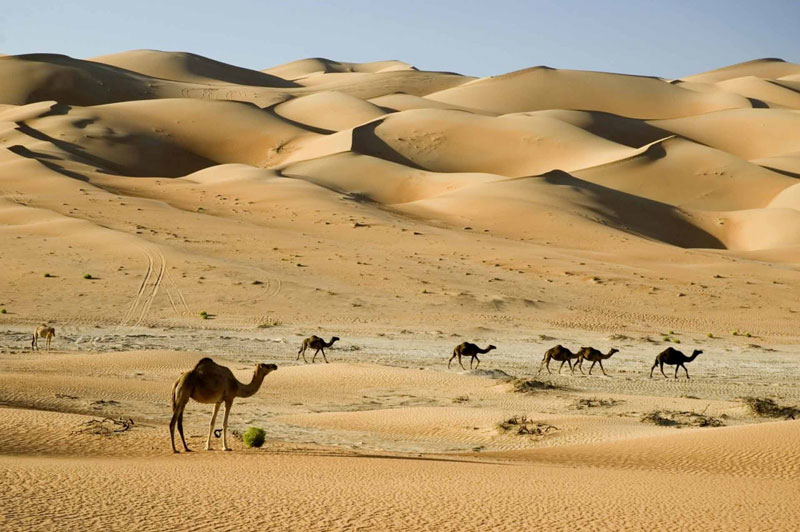 4. Sa mạc Arabian - Iraq, Jordan, Kuwait, Oman, Qatar, Ả-rập Xê-út, Các tiểu vương quốc Arập thống nhất và Yemen. Diện tích: 2.33 triệu km2.