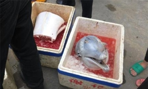 Cá heo trắng quý hiếm bị xẻ thịt bán ở Trung Quốc. Ảnh: Weibo