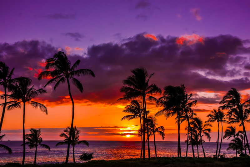 Các đảo Hawaii được tạo ra do núi lửa nổi lên từ đáy biển qua một lỗ thông được gọi là nhiệt điểm (hotspot) trong thuyết địa chất.