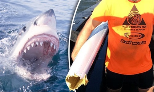 Người đàn ông đi thuyền kayak may mắn thoát chết dù bị cá mập cắn đứt thân thuyền. Ảnh: Daily Star