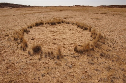 Bí ẩn những vòng tròn kỳ quái ở Namibia đã tìm ra lời giải? - 1
