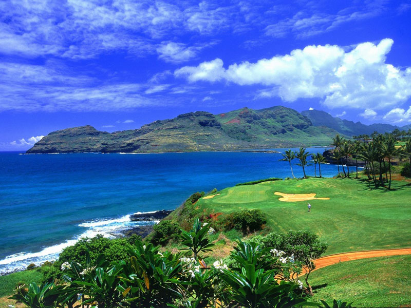 Tới Hawaii, du khách sẽ có cơ hội đi du thuyền, đánh golf, lướt sóng, tham quan núi lửa, lặn biển… Đặc biệt, các món ăn được chế biến từ hải sản ở đây cũng rất nổi tiếng.