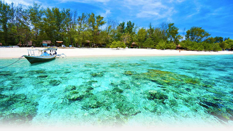 Hòn đảo này có tới 500 loại san hô và được bao quanh bởi các rạn san hô.
