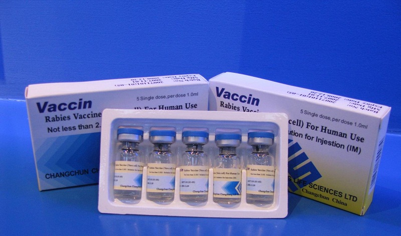 Vaccine ngừa bệnh dại.