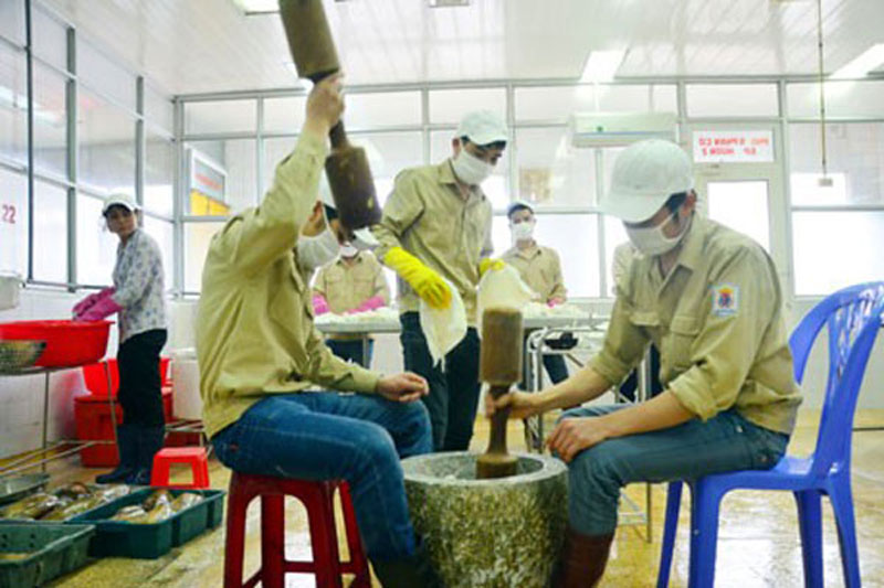 Sản xuất chả mực Hạ Long bằng phương pháp thủ công.