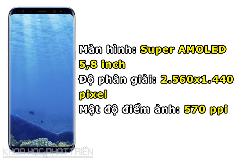 Màn hình Galaxy S8 được thiết kế cong 2 cạnh viền.