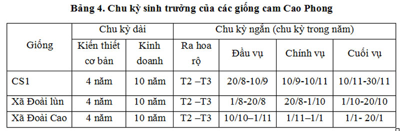 Chu kỳ sinh trưởng của các giống cam Cao Phong.