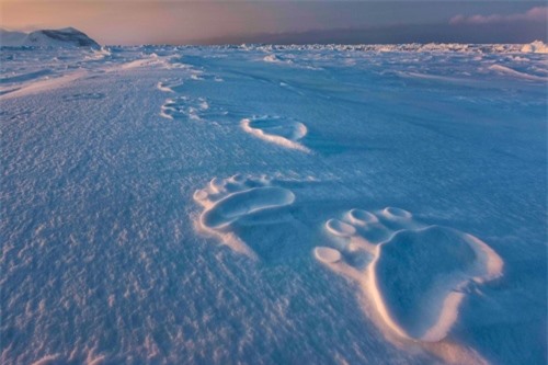 10 bức ảnh tuyệt vời về những vùng đất băng giá vĩnh cửu - 10