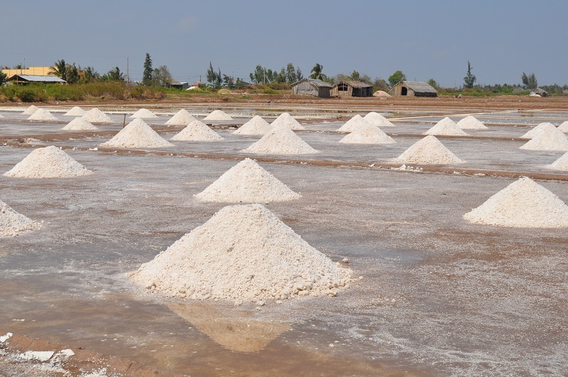 Muối dùng để sản xuất nước mắm Phan Thiết rất đặc biệt. Ảnh: Đài Phát Thanh.