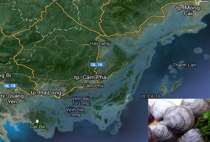 Địa hình khu vực ven biển tỉnh Quảng Ninh.